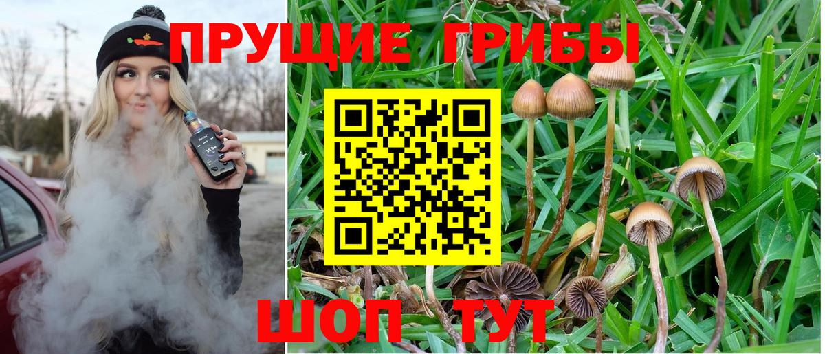 Галлюциногенные грибы Psilocybine cubensis Спасск-Дальний