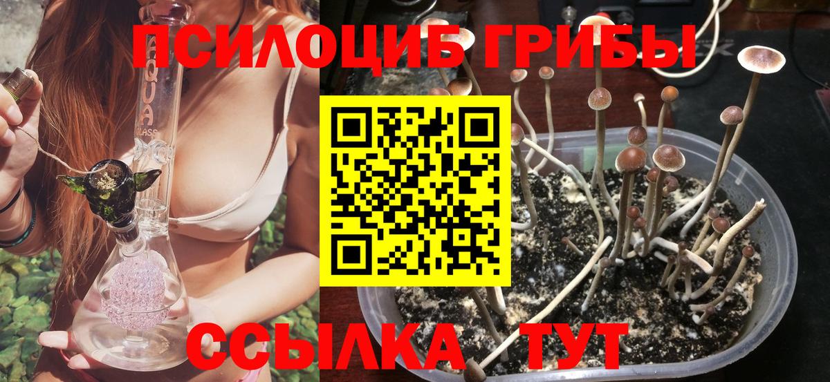 Спасск-Дальний  Галлюциногенные грибы прущие грибы  Вход с VPN 
